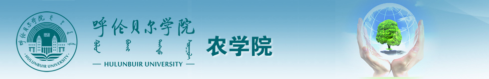 suncitygroup太阳新城